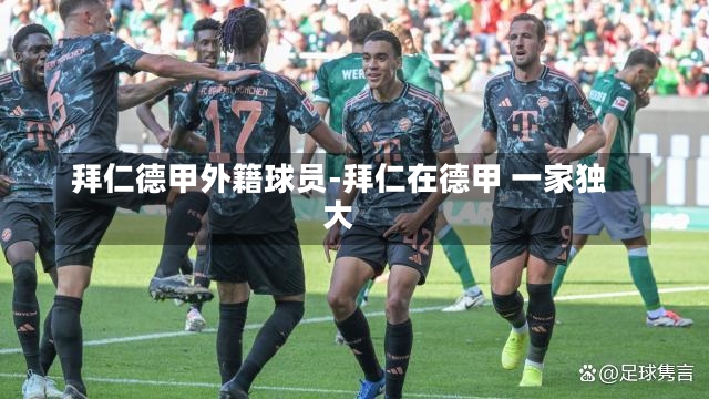拜仁德甲外籍球员-拜仁在德甲 一家独大