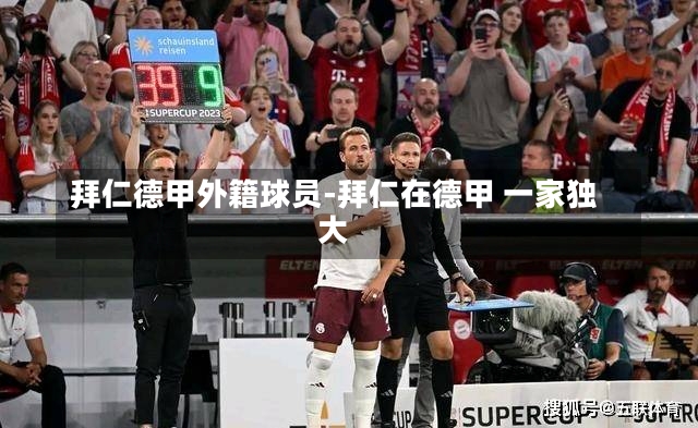 拜仁德甲外籍球员-拜仁在德甲 一家独大