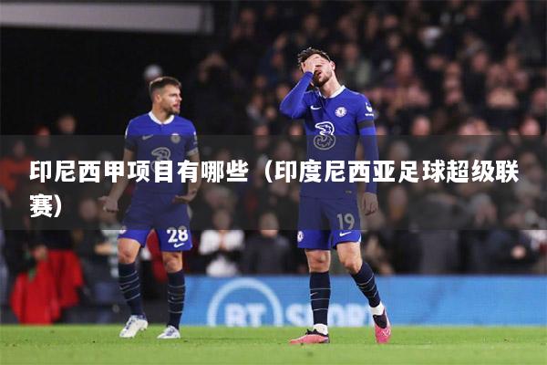 印尼西甲项目有哪些（印度尼西亚足球超级联赛）