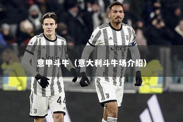 意甲斗牛（意大利斗牛场介绍）