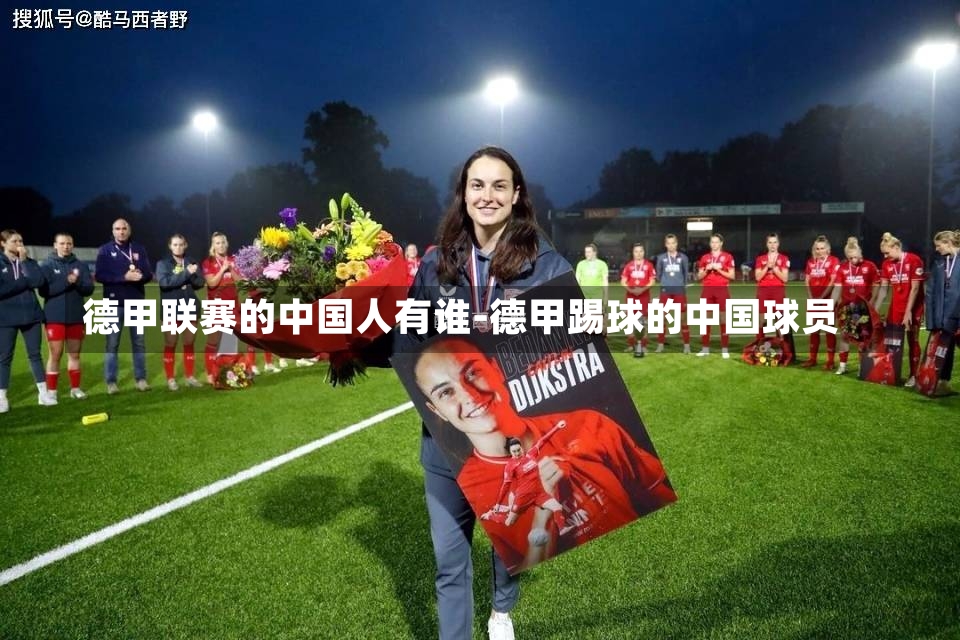 德甲联赛的中国人有谁-德甲踢球的中国球员