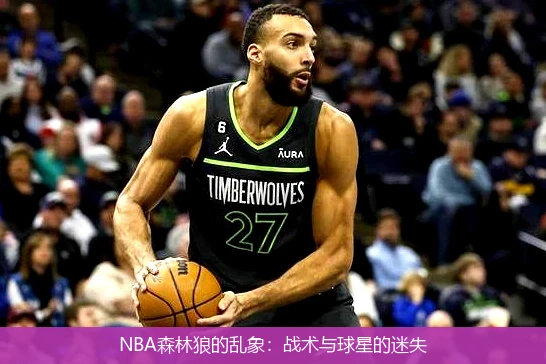 NBA森林狼的乱象:战术与球星的迷失