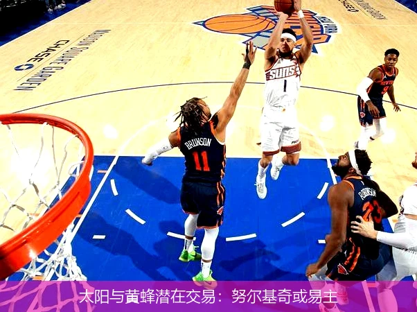 太阳与黄蜂潜在交易：努尔基奇或易主